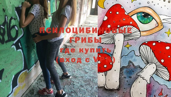 меф Заводоуковск