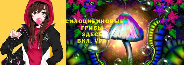 меф Заводоуковск