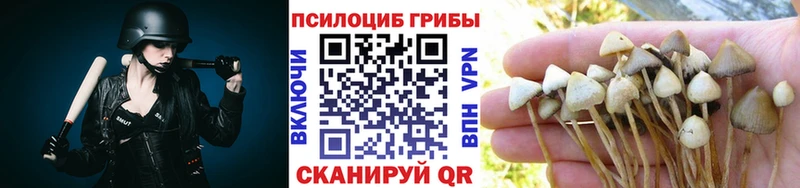 Галлюциногенные грибы Cubensis Сорск